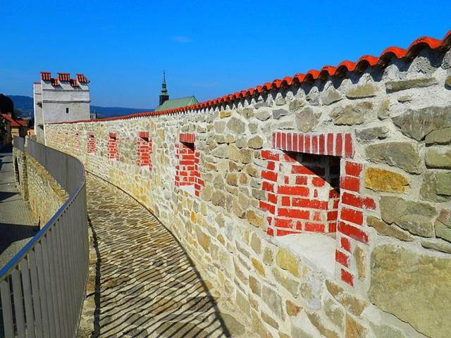 Apartmanystocklova2 Bardejov Esterno foto